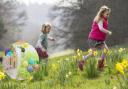 Easter egg hunts - Where should you take your family?