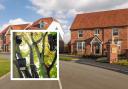 Developer reveals 'eco-friendly vision' for 500-home development in south Essex