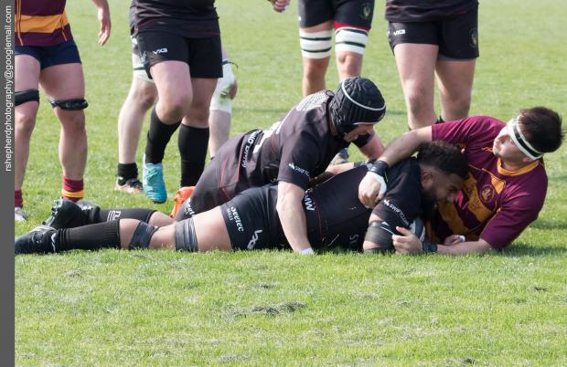 Echo: Touching down - Rochford Hundred’s Maciu Nabogi scores a try for the visitors in the first half of the National Two South clash at the Gables 