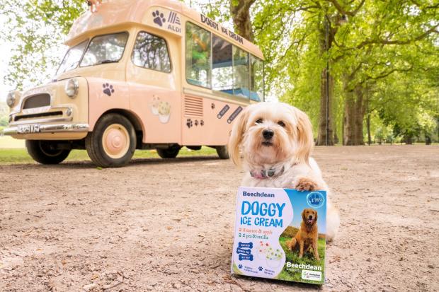 Echo: The doggy ice cream comes in two flavours irresistible to tail-waggers. Picture: Aldi 
