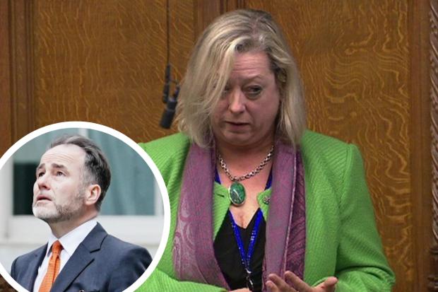 Jackie Doyle-Price condemns Boris Johnson's handling of Chris Pincher scandal (Pics - House of Commons / Aaron Chown / PA)