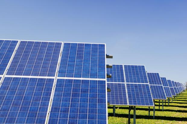 A picture of a solar farm.