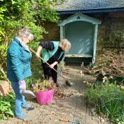 On the lookout for gardeners - Havens Hospices