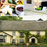 The Cricketers made it into the top 100 UK hotels (TripAdvisor)