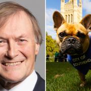 Politicians have been sending out messages of support, following Sir David Amess's dog Vivienne being named Westminster Dog of the Year (PA)