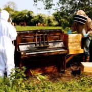 Lily and her bees and piano pictured working on one of her projects