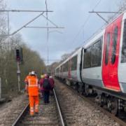 Rail passengers walked to safety after tree blocks line in south Essex
