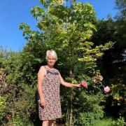Basildon garden trail - Tina in her beautiful garden