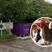 South Essex Wildlife Hospital putting down birds with flu 'on a daily basis'. Photo: Google Street View