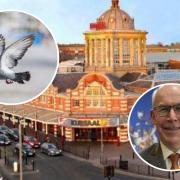 Council rule out buying back Kursaal...despite it becoming 'home for pigeons'