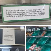 Shortage - South Essex supermarkets