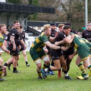 Looking to bounce back - Rochford Hundred take on Canterbury