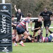 Draw - Rochford Hundred dug deep to secure a 21-21 draw with Old Albanians