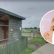 Visit - Stacey Solomon visited Hopefield Animal Sanctuary with family