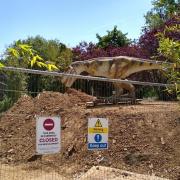 Attraction - Dinos set to permanently come back to Colchester Zoo