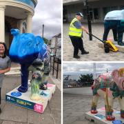 Damaged elephants return to Southend streets as trail-goers urged to be gentle