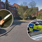 'Thugs holding knives try to kick down door' in south Essex break-in attempt