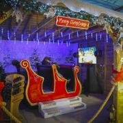 First look at new Christmas attraction opening at south Essex garden centre
