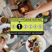 Pubs, nightclubs and bars in south Essex handed low food hygiene ratings this year