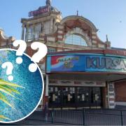 'Tropical swimming paradise': What you want to see in Kursaal amid 'hopes for deal'