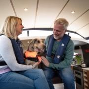 The Norfolk Broads is an ideal location for those looking for a pet-friendly holiday