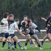 Tough to take - Rochford Hundred were beaten late on