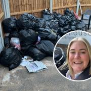 Pitsea resident Clare Winzar is one of more than 2,600 people backing a petition to bring back weekly black bin collections.