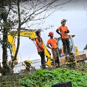 Protesters 'let down' as bulldozers move in to axe treasured Shoebury trees