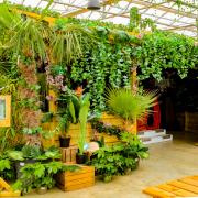 Popular south Essex garden centre unveils new 'jungle adventure' attraction
