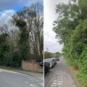 Hedgerows and woodland - Residents are vocal about defending the trees