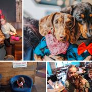 Adorable - Pup Up Cafe in Southend