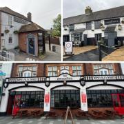 Listed - some of the best dog friendly pubs in south Essex