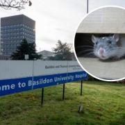 Number of pest sightings at trust which runs Southend and Basildon hospitals revealed