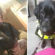 Guide - Ruby Blythe-Smith and her guide dog Greta have been refused by taxi drivers in Colchester