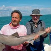 Mick Toomer gives guitar legend Peter Green a hand with his personal best 17lb smoothhound