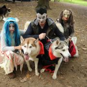 Ghoulish – Holly, Andrew and Teresa Gibson with Shadow and Caris at Hockely Woods