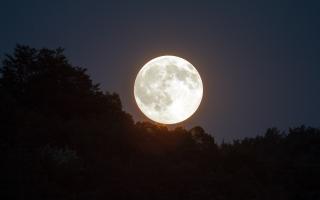 The Snow Moon will appear over Essex. (Canva)