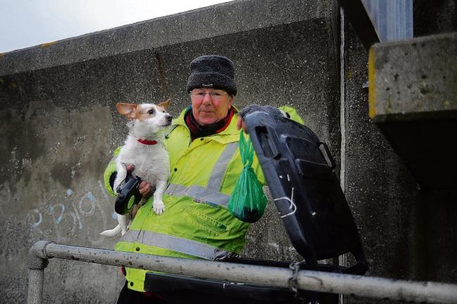 Dog walkers urged to use bins on Canvey seafront