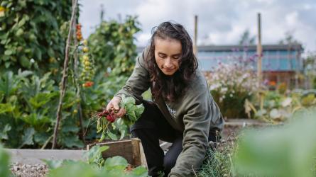 Gardening advice course. Picture credit: RHS/PA